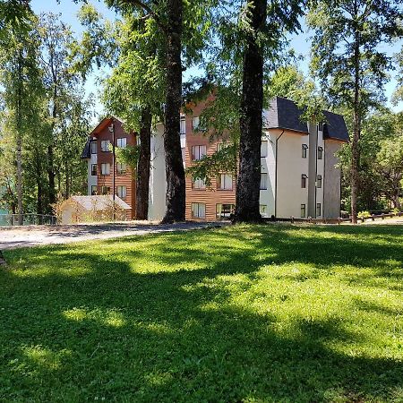 Depto Parque Suizo 800 Apartment Pucón Екстериор снимка